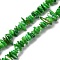Natural Freshwater Shell Beads Strands, Chip, Dyed, Green, 6~16x4~8x1~7mm, Hole: 1mm, about 97~157pcs/strand, 15.75 inch(40cm)