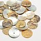 Flat Round Natural Akoya Shell Beads, Mother of Pearl Shell Beads, Camel, 23x1~1.5mm, Hole: 1mm, about 720pcs/bag