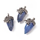 Natural Lapis Lazuli Pendants G-C051-03H-1