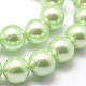 Polished Round Grade A Shell Pearl Bead Strands BSHE-M027-10mm-21-2