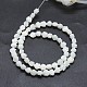 Shell normal de perles blanches de brins SSHEL-P015-01A-6mm-2
