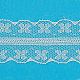 Lace Trim Nylon Ribbon for Jewelry Making ORIB-F003-172-1