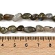 Природные лабрадорита бисер нитей&nbsp;LS-G-C250-03-5