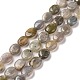 Chapelets de perles en labradorite naturelle  G-C238-37-1