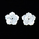 Natural White Shell Mother of Pearl Shell Beads SSHEL-T014-42A-2