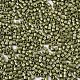 11/0 Grade A Baking Paint Glass Seed Beads X-SEED-S030-1037-2