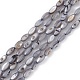 Brins de perles d'eau douce naturelles teints en coquille SHEL-M018-13-04-1