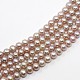 Natural Cultured Freshwater Pearl Beads Strands PEAR-N002-4.5mm-05B-3
