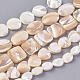 Chapelets de perles de coquillage BSHE-I008-05-1