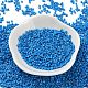 Baking Paint Glass Seed Beads SEED-S042-05B-76-2