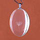Pendentifs d'alliage ovale plat en verre X-GLAA-Q050-18x25-01P-2