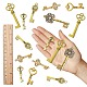 SUNNYCLUE Skeleton Key Charm DIY Jewelry Making Kit for Crafts Gifts DIY-SC0017-36-3