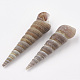 Perles de coquillages en spirale SSHEL-Q307-01-2