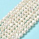 Natural Cultured Freshwater Pearl Beads Strands PEAR-E017-15-2