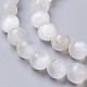 Brins de perles de sélénite naturelles G-I203-C-10mm-3