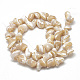 Chapelets de perles de coquille de trochid / trochus coquille BSHE-S302-06-2