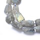 Natural Labradorite Beads Strands G-G764-10-3
