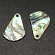 Paua Shell Drop Pendants BSHE-M020-06-2
