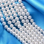 Shell Perlen Stränge, Klasse A, poliert, Runde, weiß, 8 mm, Bohrung: 0.8 mm, ca. 47~50 Stk. / Strang, 16 Zoll
