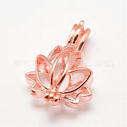Латунные диффузор Locket подвески KK-P100-18RG-RS