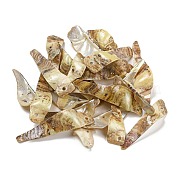 Большие подвески из натуральной ракушки акоя BSHE-G034-09G
