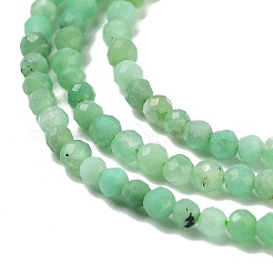 Натуральные хризопразные бисерные пряди&nbsp;G-B088-C19-02