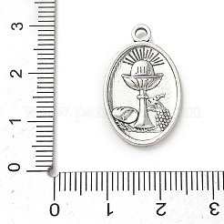 Pendentifs en alliage&nbsp;FIND-E051-01AS-11