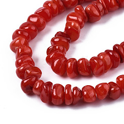 Нити бусин из натуральных пресноводных ракушек SHEL-S278-041