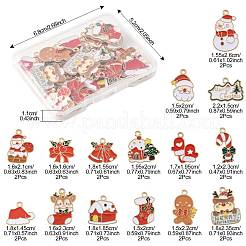 30шт 15 стиля подвески из сплава с эмалью&nbsp;ENAM-FS0003-52A