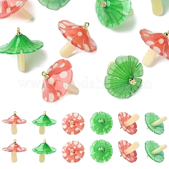 10шт 2 цвета пластиковые подвески KY-FS0001-34B