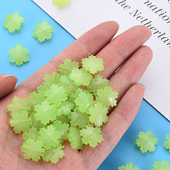 Perles en acrylique de gelée d'imitation&nbsp;LS-MACR-S373-92-E06