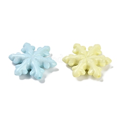 Непрозрачные акриловые бусины SACR-U003-01