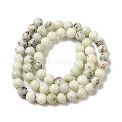 Натуральные дендритные нити из бисера яшмы G-H298-A15-02