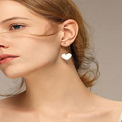 Железные серьги&nbsp;IFIN-LP0001-18B