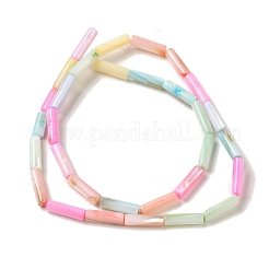 Нити бусин из натуральных пресноводных ракушек&nbsp;SHEL-G018-02B