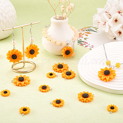 Подвески из непрозрачной смолы в стиле 40 шт.&nbsp;RESI-CD0001-15