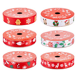 6 Rolle&nbsp;OCOR-TA0003-43