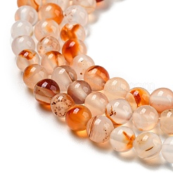 Нити натуральных бусин из красного дендритного агата G-A232-A02-01