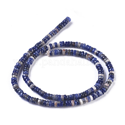 Perline sodalite naturale fili&nbsp;G-I265-04