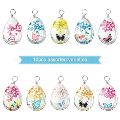 10шт прозрачные стеклянные подвески&nbsp;GLAA-YW0004-27