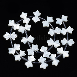 Нити из натуральных белых ракушек SSHEL-S278-123B