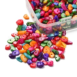 Природные окрашенные бусины оболочки G-YW0001-15