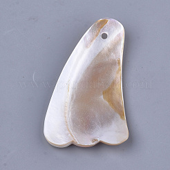 Пресноводные ракушки SSHEL-S258-67