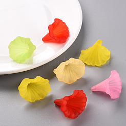 Прозрачные акриловые бусины&nbsp;BSF796M