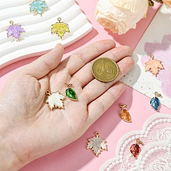 10шт 10 стиля подвески из цинкового сплава&nbsp;ENAM-YW0004-32