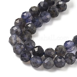 Природные иолит нитей бисера G-J400-E05-02B