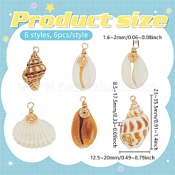 36 шт. PALLOY-PHE00014