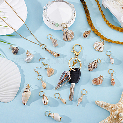 20 шт. 20 стиля гальванизированных натуральных ракушек для плетения волос&nbsp;OHAR-GA00001