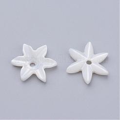 天然淡水シェルビーズ  花  乳白色  14x12x3mm  穴：1mm&nbsp;SHEL-Q007-08