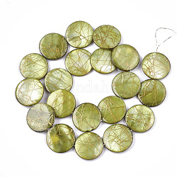 Chapelets de perles en coquille d'eau douce , teint et drawbench, plat rond, vert jaune, 19.5~20.5x2.5~4mm, Trou: 1mm, 19~20 pcs / chapelet, 15.5 pouce ~ 15.9 pouces